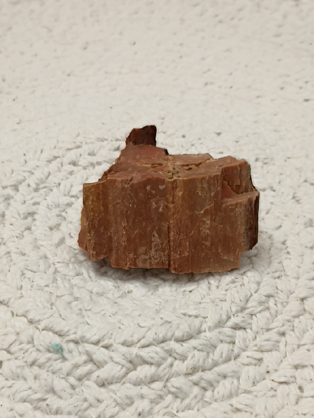 Natural Brown Petrified Wood Decorative Mineral Accent